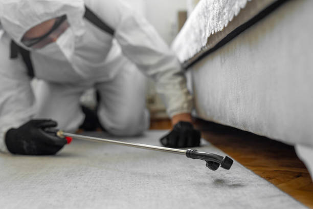 Professional Termite Control technician working in Morris, MN